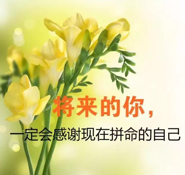 早安正能量励志句子唯美图片,励志早安唯美图片大全