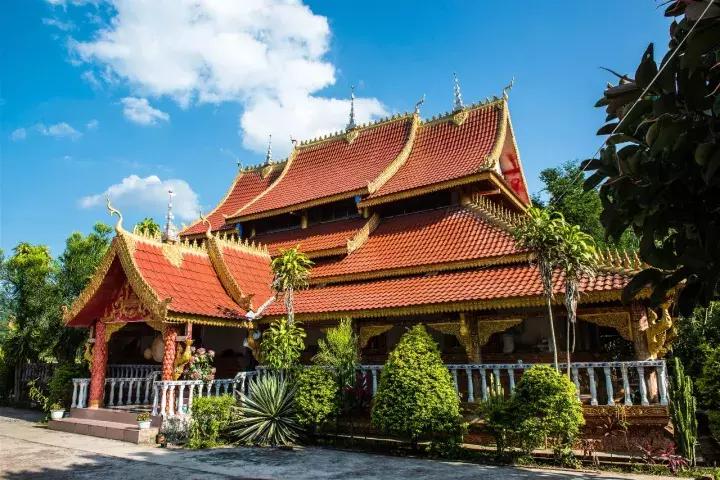 云南冬天的梯田 (云南冬季山坡梯田)