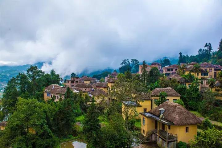 云南冬天的梯田 (云南冬季山坡梯田)