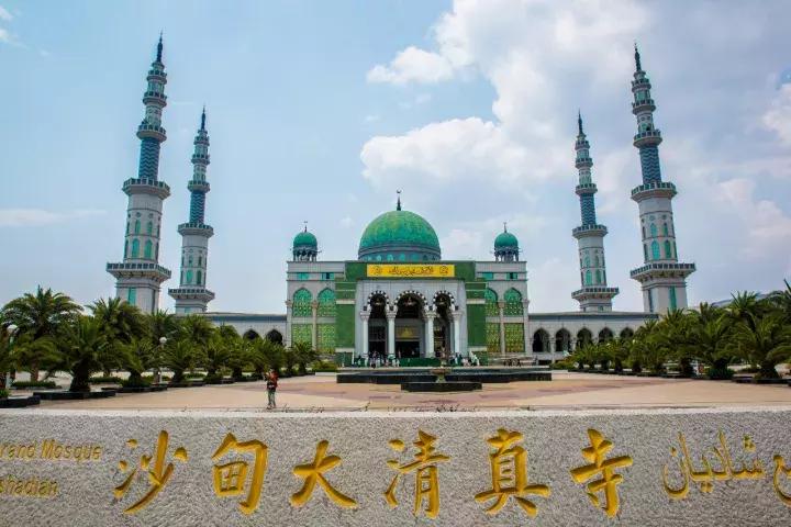 云南冬天的梯田 (云南冬季山坡梯田)