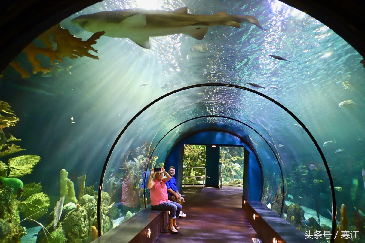 哈尔滨冰雪大世界冰灯有多漂亮,哈尔滨太阳岛室内冰灯艺术馆门票