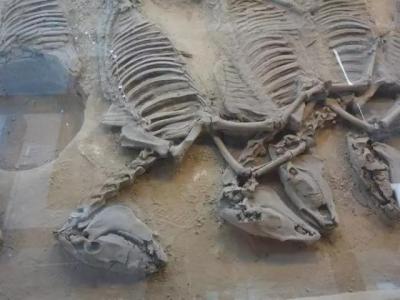 鬼吹灯九层妖塔真实存在吗,鬼吹灯九层妖塔真实图