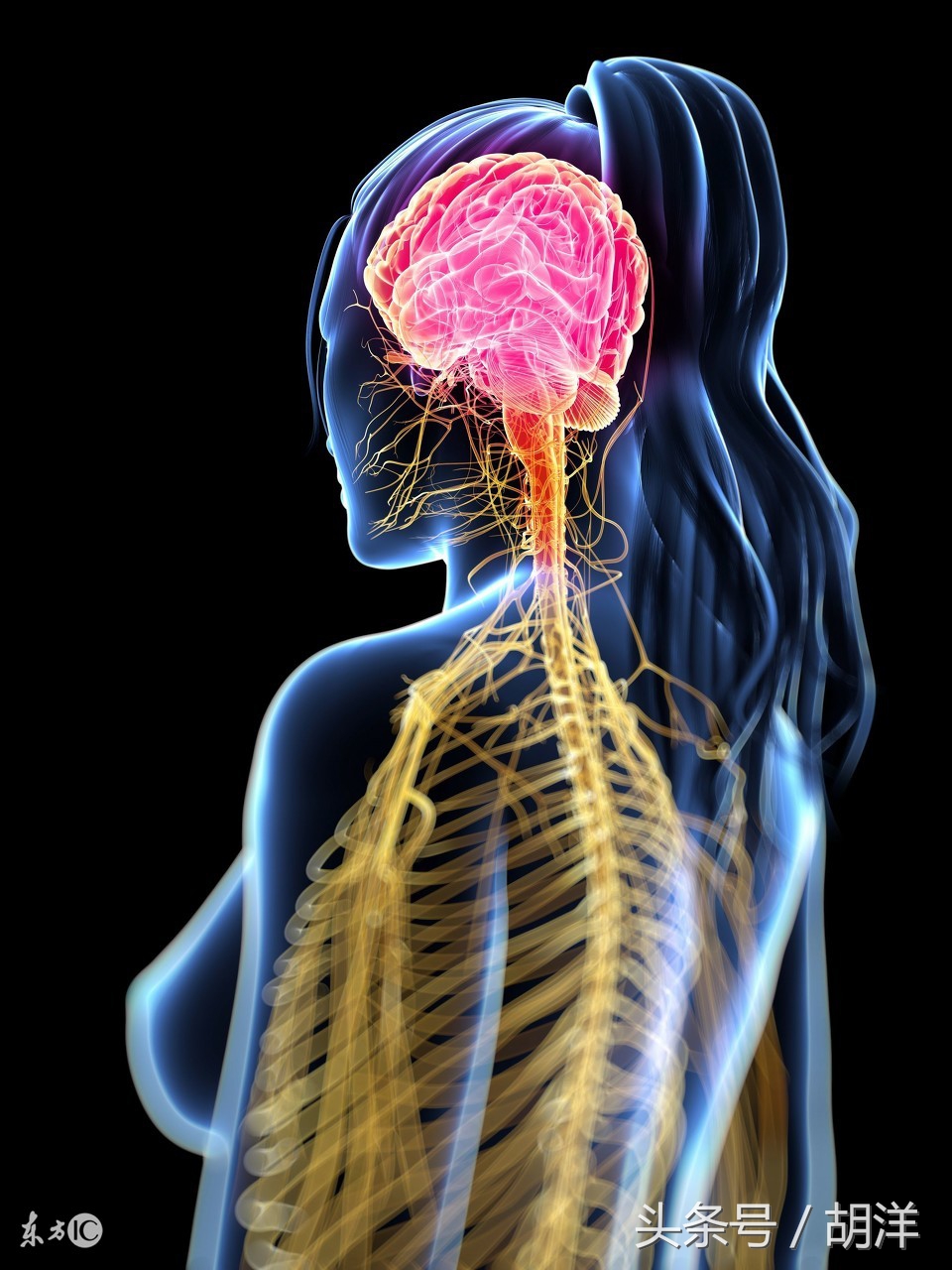 肺癌转移到骨头用唑来膦酸有用吗,肺癌转移骨头还咳血吃中药能好吗