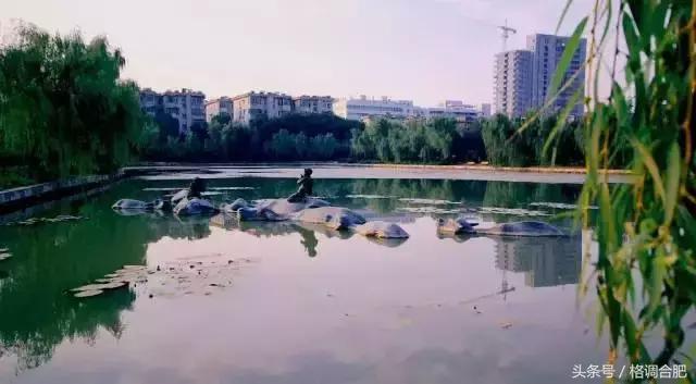 最受欢迎各省的土特产,安徽家乡特产