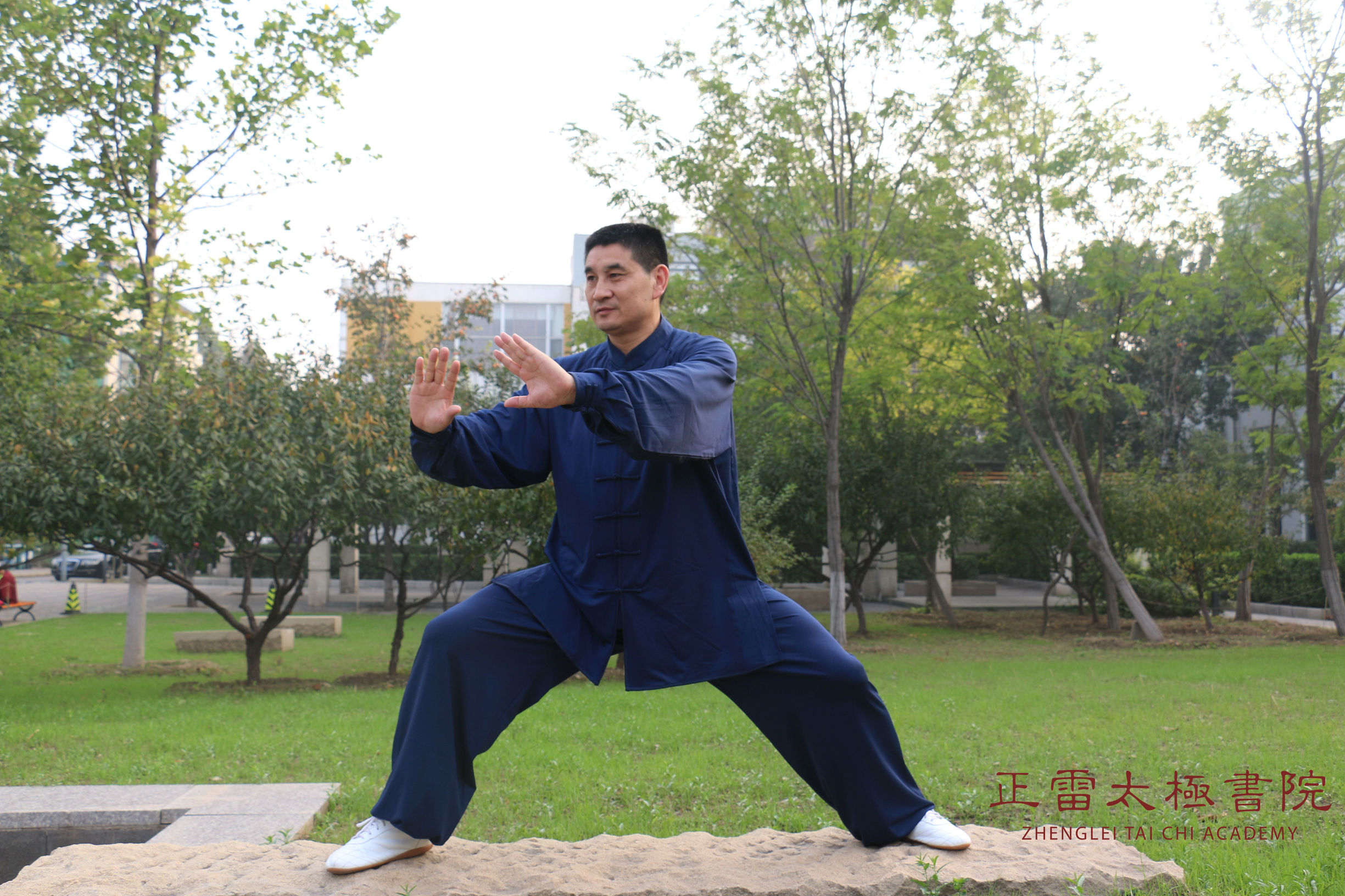 太极松身五法看一遍就学会了,太极松沉劲最快练法