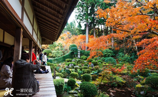 她任性买下曾躲雨的百年町屋,惊喜发现在日本买房居然还送老公!