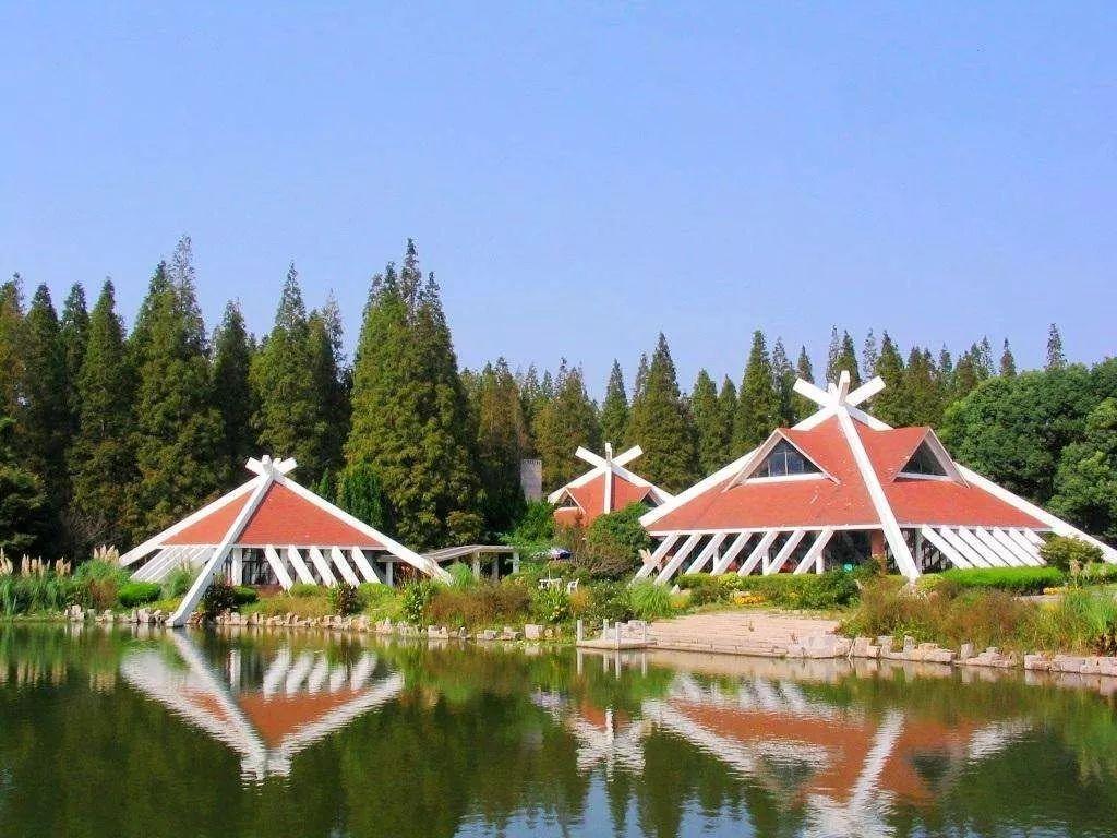 上海魔都区的发展,魔都上海未来几百年的样子