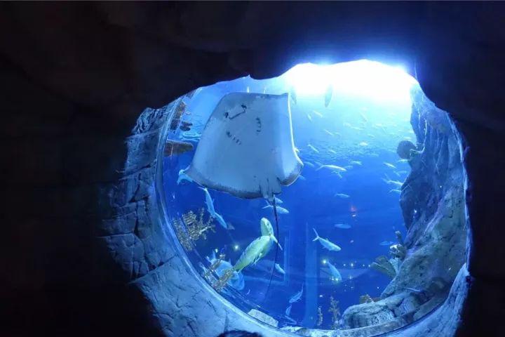 上海魔都区的发展,魔都上海未来几百年的样子