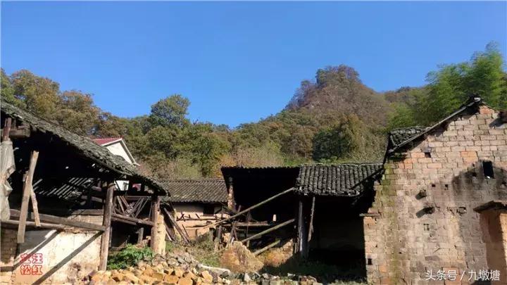 美醉了!了不起的金寨