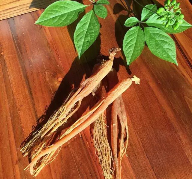 古法炮制九蒸九晒姜正宗做法,正宗古法九蒸九晒方法