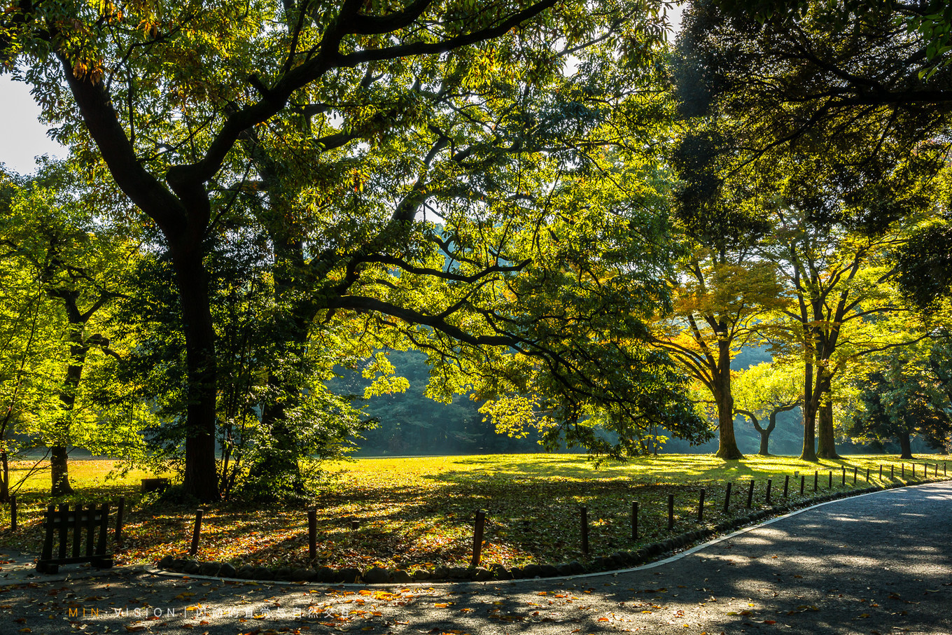 去东京玩用什么攻略,东京攻略东京