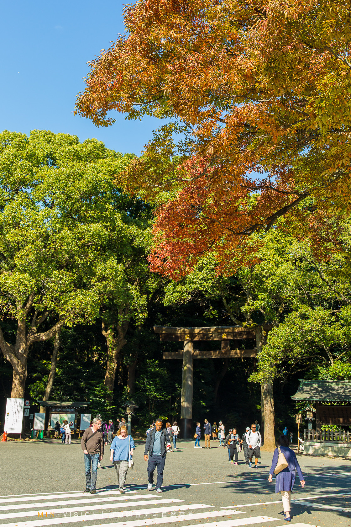 去东京玩用什么攻略,东京攻略东京