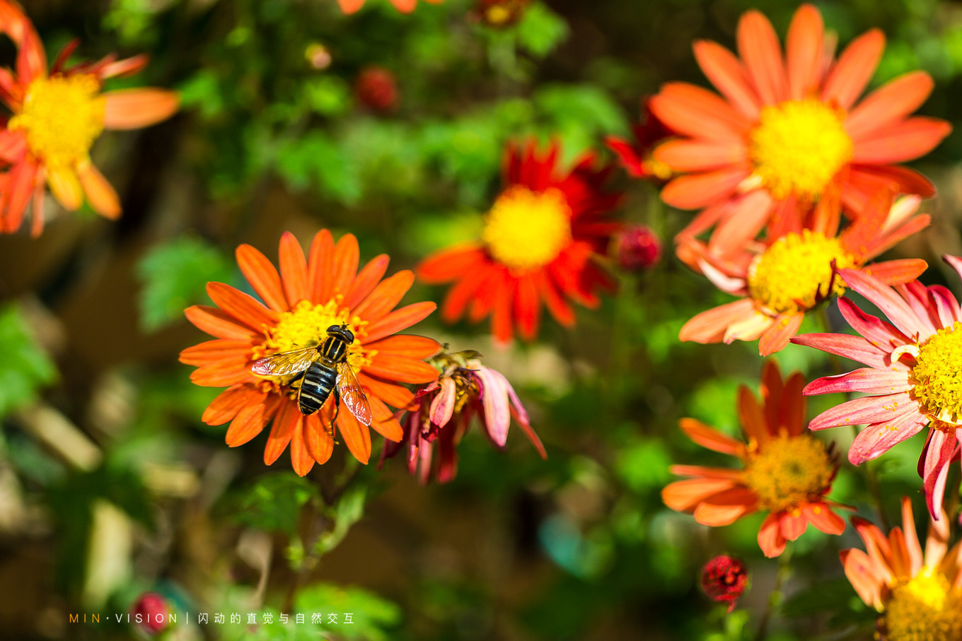 去东京玩用什么攻略,东京攻略东京
