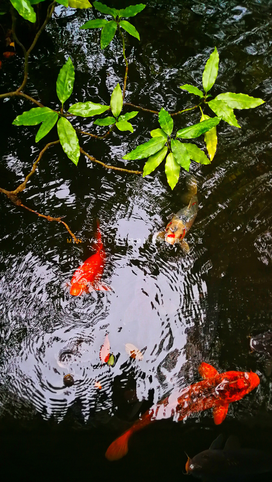 去东京玩用什么攻略,东京攻略东京