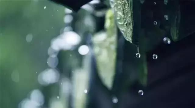 知耻知畏知止,知耻而后勇和知耻近乎勇