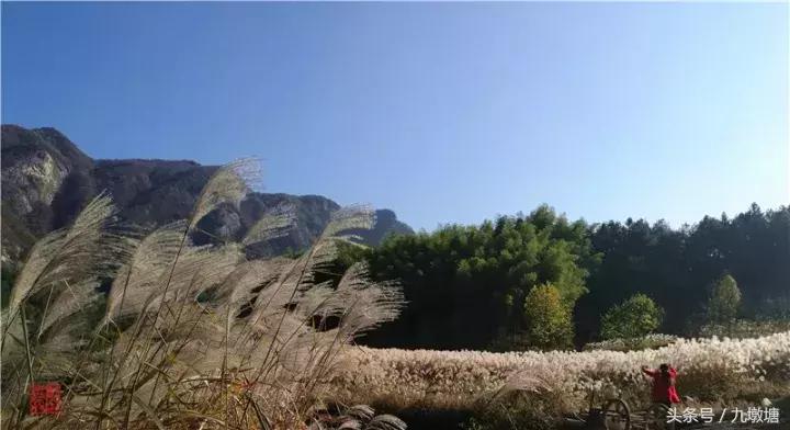 美醉了!了不起的金寨