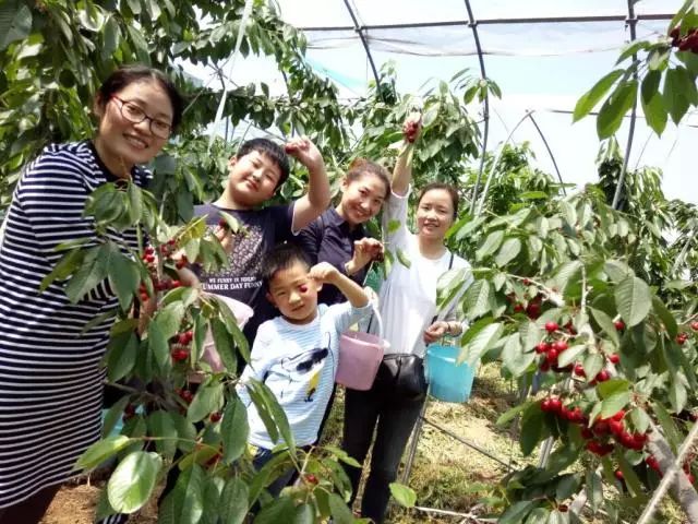 为什么同样的水果价格相差很多,为什么一样的水果价格差距太大