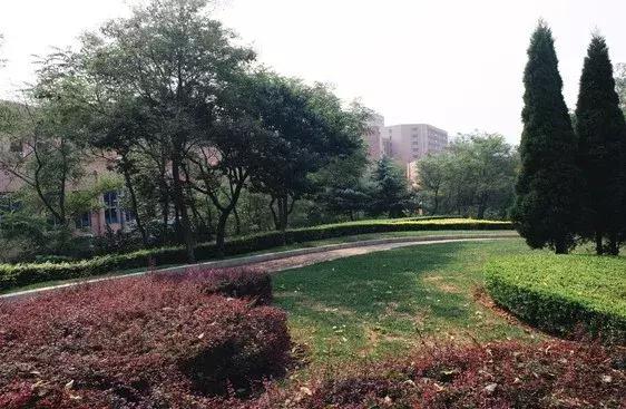 今天正好110岁！很多大连人去过的这个地方竟有国宝