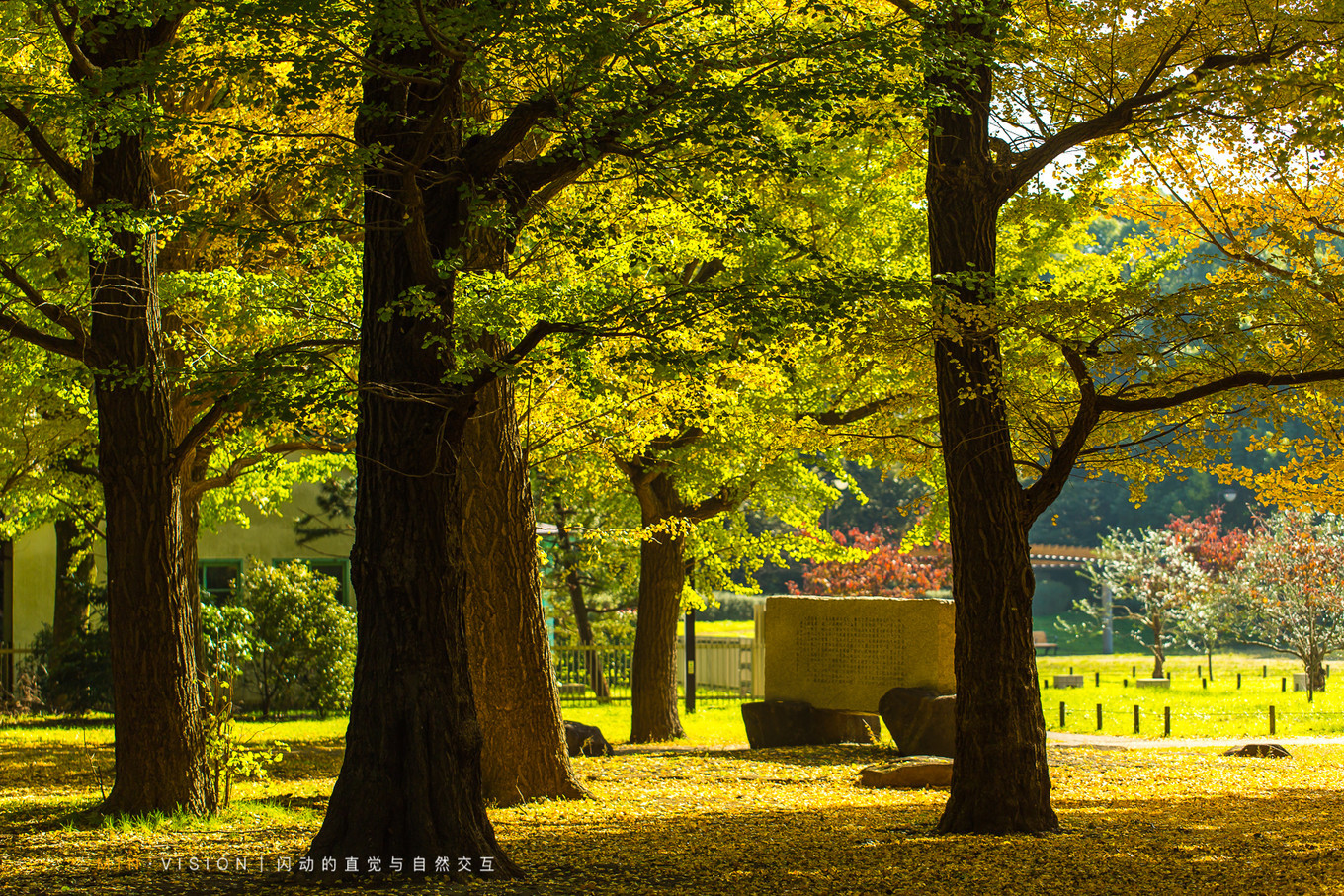 去东京玩用什么攻略,东京攻略东京