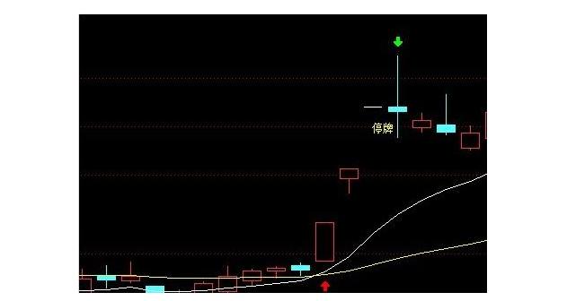 炒股养家赵老哥头条号,炒股赵老哥