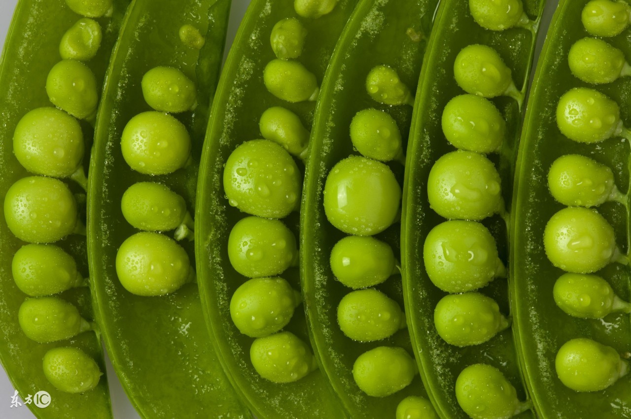 适合糖尿病人吃的五谷馒头做法,糖尿病人适合吃的五谷豆浆配方