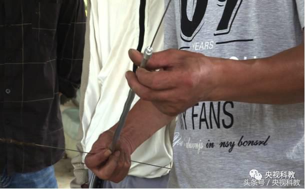 我爱发明引鳝出洞视频,引鳝出洞