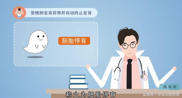 胚胎停育如何处理,人工流产胚胎