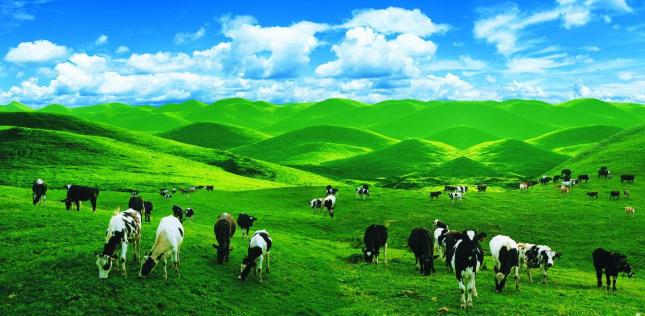 新西兰南北岛10天之旅,自驾游新西兰南北岛攻略