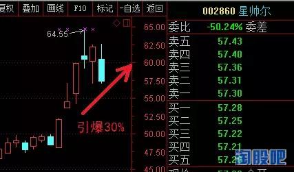 年报前瞻性研究（三）——押宝金陵体育