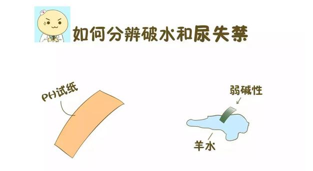 生孩子破水前有什么感觉,分娩前为什么破水