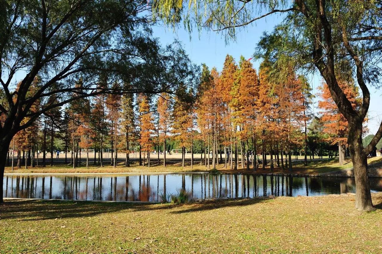 上海各个景点路线图,上海地铁沿线景点大全游上海必备