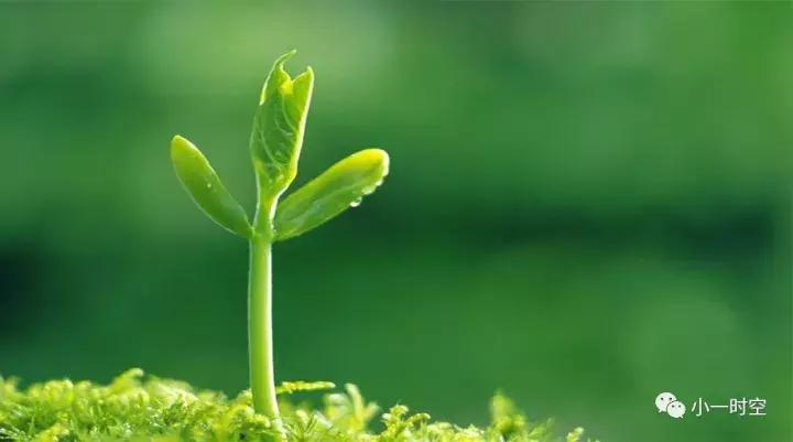 紫外线消毒灭菌注意事项,紫外线消毒和蒸汽消毒哪个更安全