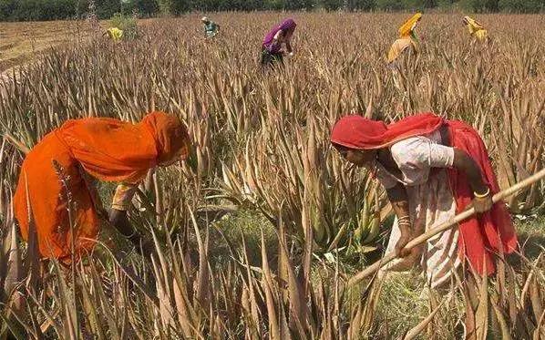 宜信的运营模式,宜信转型之路