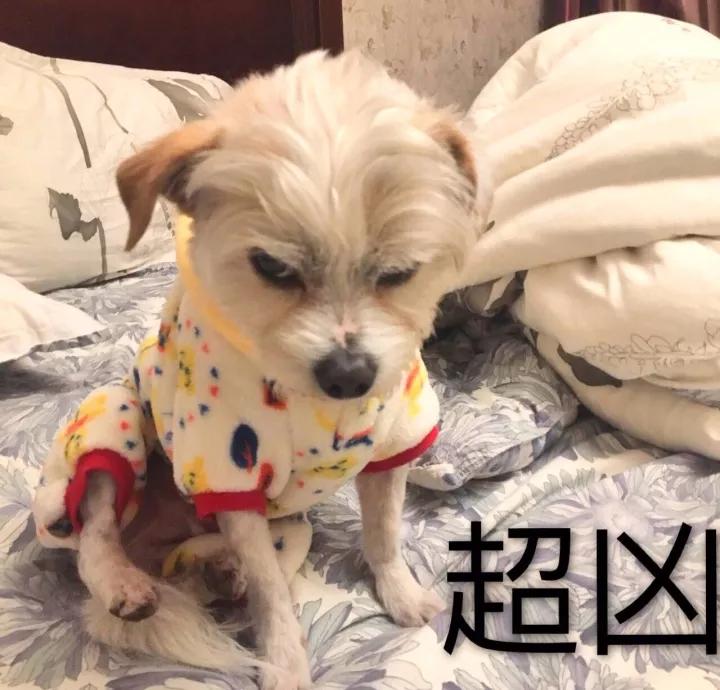 美白排行榜第一名真实测评,实测美白最强大的产品