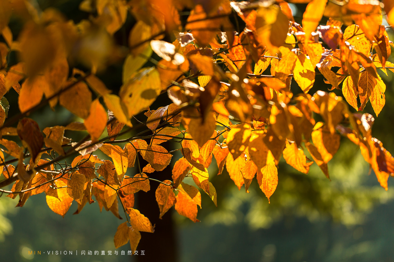去东京玩用什么攻略,东京攻略东京