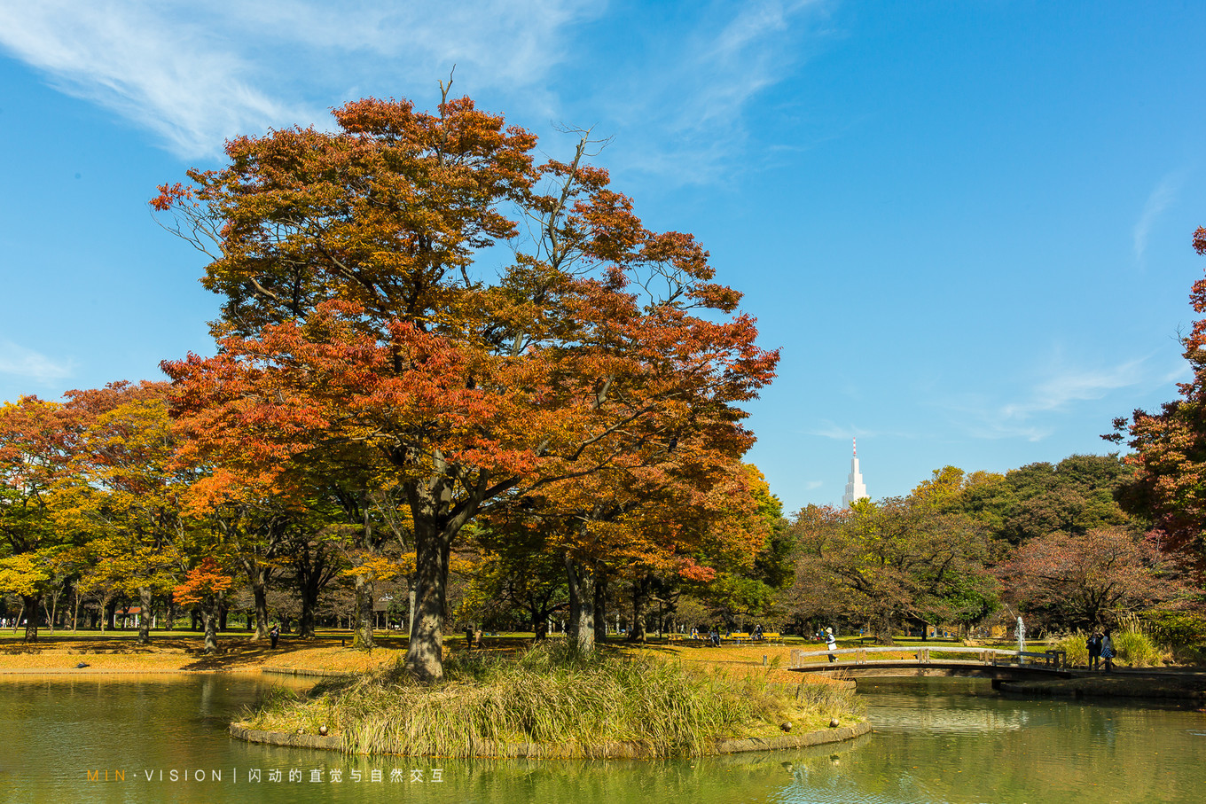 去东京玩用什么攻略,东京攻略东京