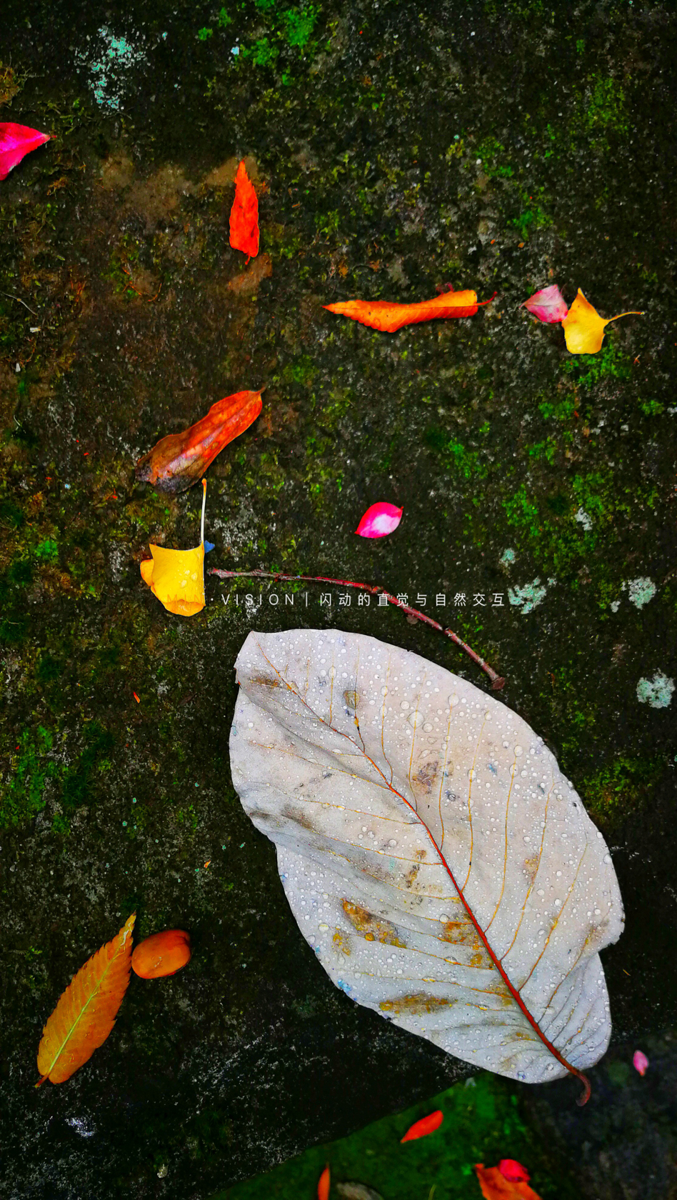 去东京玩用什么攻略,东京攻略东京