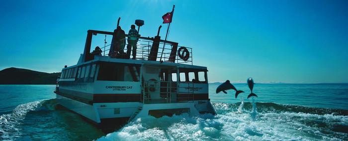 新西兰南北岛10天之旅,自驾游新西兰南北岛攻略