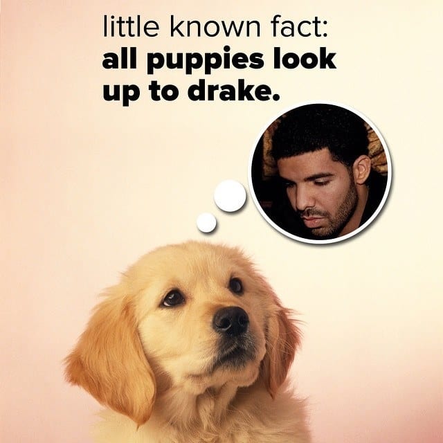 我们希望学校能教会我们这14件事情,然而并没有