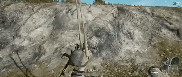 「不正确周报」第四十期:动物世界特辑:挂狗的求生之路