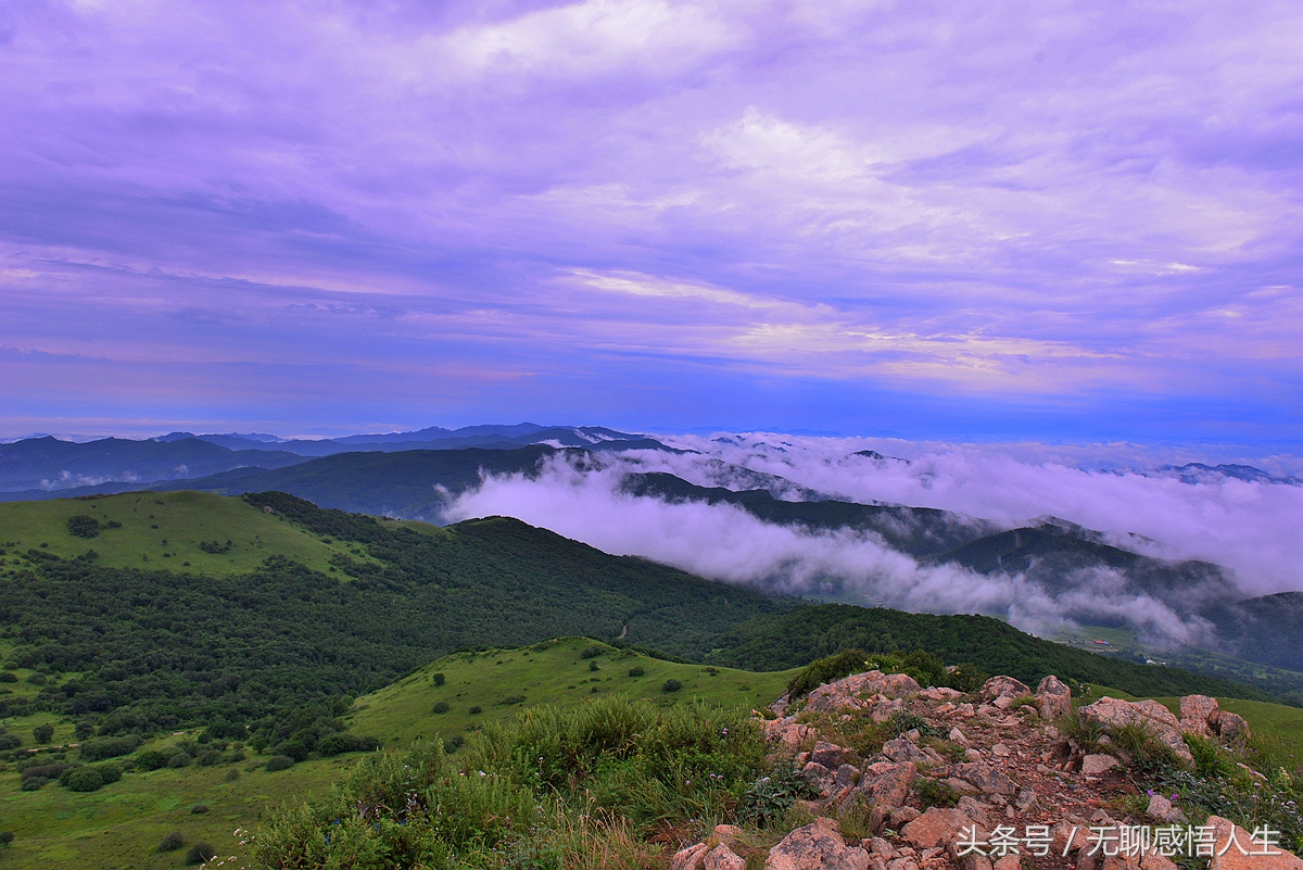 河北省承德市平泉市疫情,河北省承德市平泉市酒厂玉米价格