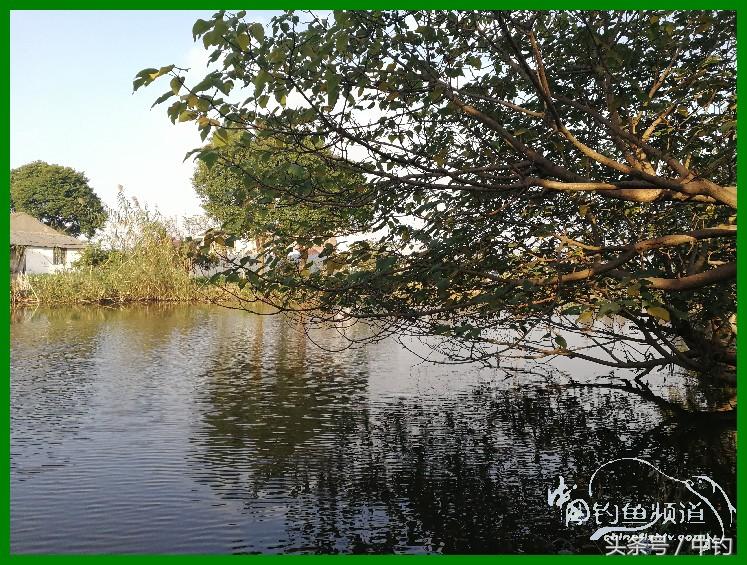 爽钓渔具,爽钓黄金版