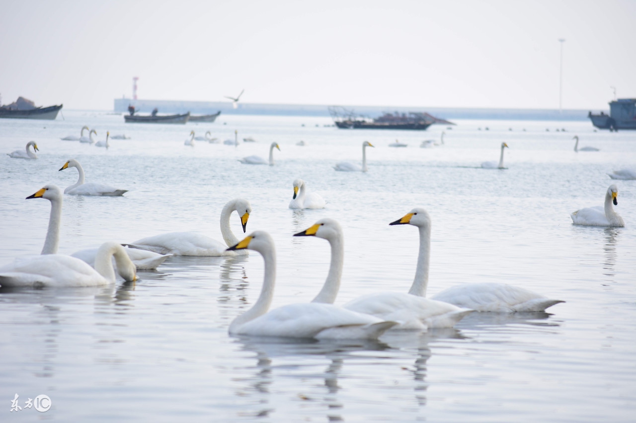 郑州动物园简介,郑州动物园叫什么名字