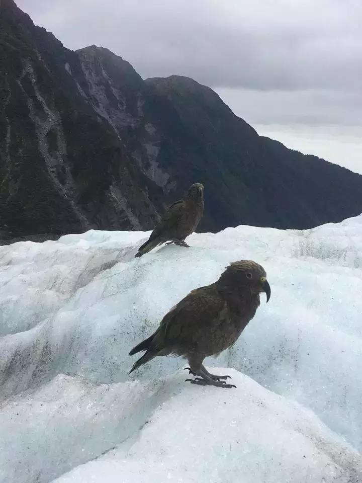 他们有钱，会玩，没有中产焦虑