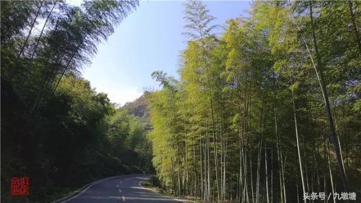 美醉了!了不起的金寨