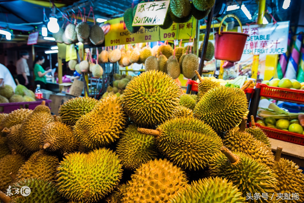 马来西亚必备指南,移居马来西亚有什么好的推荐