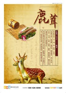 气虚会引起什么疾病,气虚会导致哪些问题