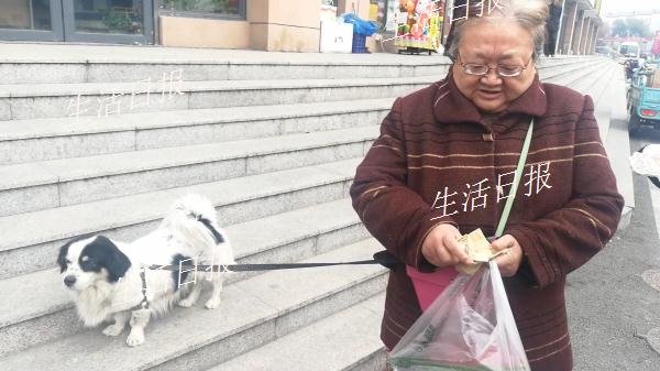 物业不让低层住户坐电梯,物业规定狗不能上电梯吗