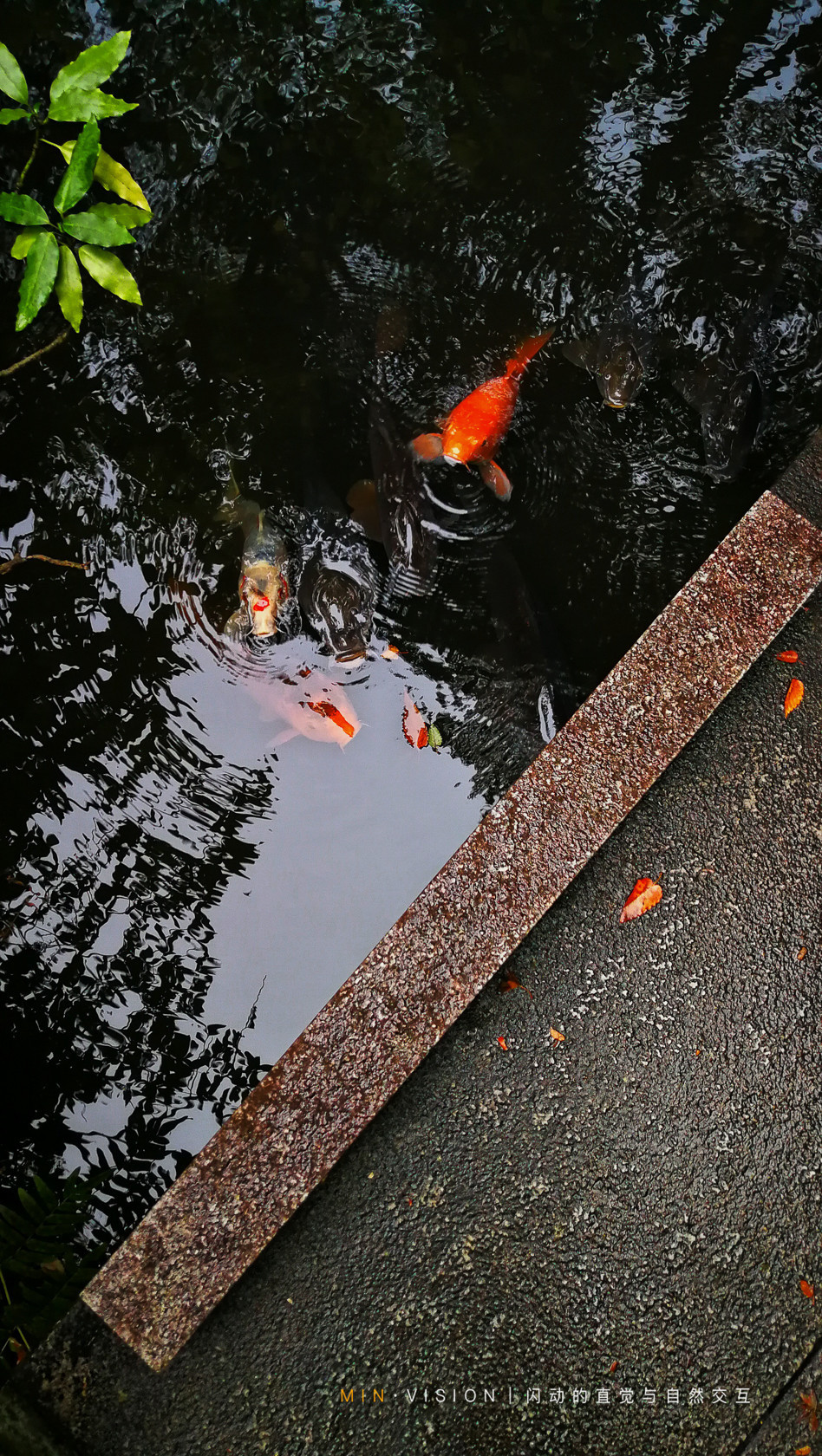 去东京玩用什么攻略,东京攻略东京