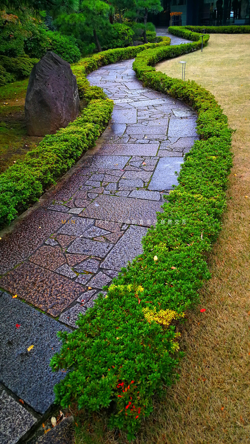 去东京玩用什么攻略,东京攻略东京